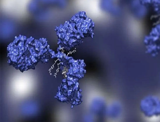 Alloy Therapeutics and Pfizer to Develop New Antibody Discovery Platform