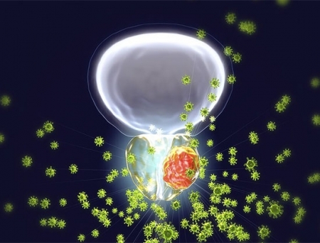 Navigate BioPharma Services Unveils New Assay for Precise Measurement of Radioligand Therapies