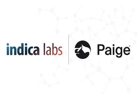 Indica Labs and Paige to Expand Integrated AI for Anatomic Pathology Labs