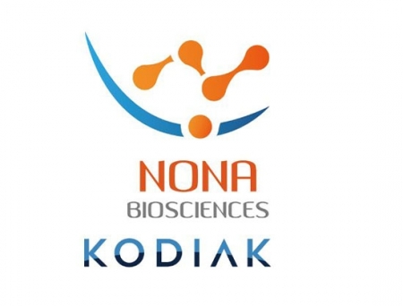 Nona Biosciences, Kodiak Sciences to Power Next-Gen Antibody Therapies for Ophthalmic Diseases