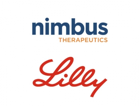 Nimbus Therapeutics Hits Preclinical Research Milestone with Lilly