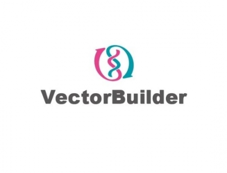 VectorBuilder spends USD 500M to build a new China campus