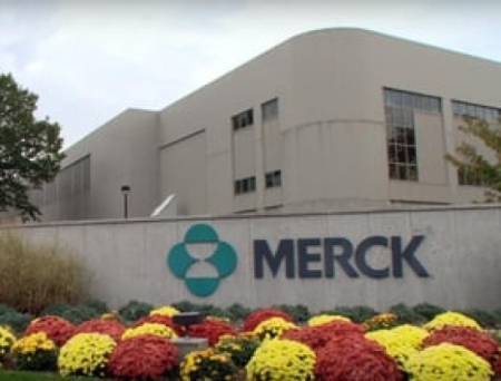 Merck & Co to add 100 new jobs as part of Irish expansion